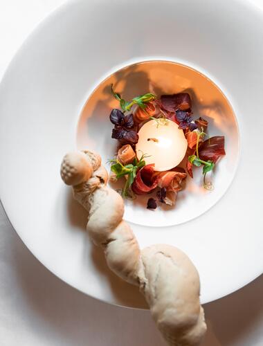 Kreative Gourmet-Vorspeise im Boutique Hotel Salzburg mit kunstvoll angerichteten Zutaten und hausgemachtem Brot