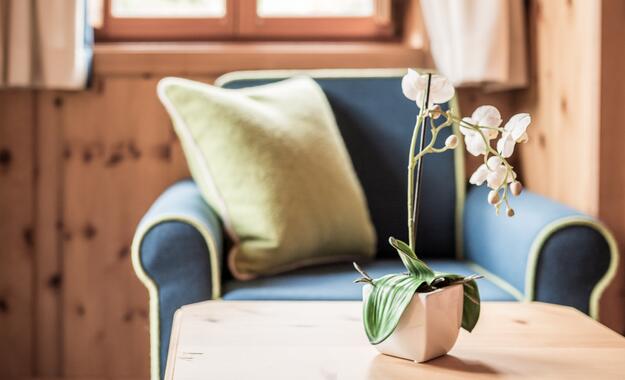 Detailansicht eines Zimmers im Boutique Hotel Salzburg mit blauem Sessel, grüner Kissen und dekorativer Orchidee auf einem Holztisch