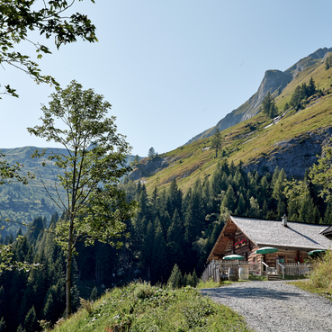 hike to Mooslehenalm | © michael Huber | www.huber-fotografie.at