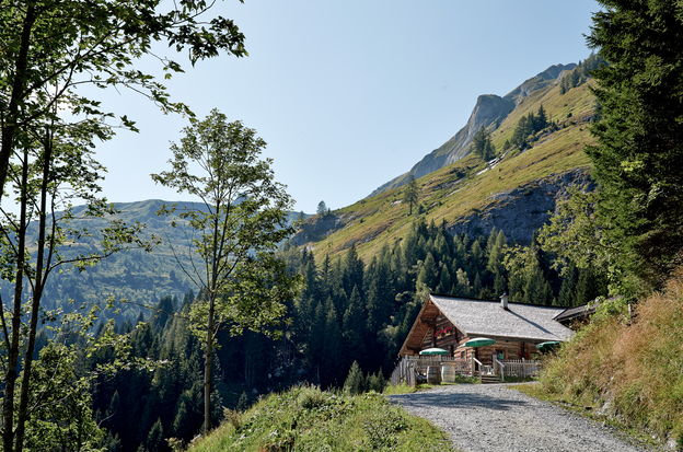 Idyllische Berghütte mit Terrasse, umgeben von grünen Wiesen und Wäldern, in einer sonnigen Berglandschaft | © michael Huber | www.huber-fotografie.at