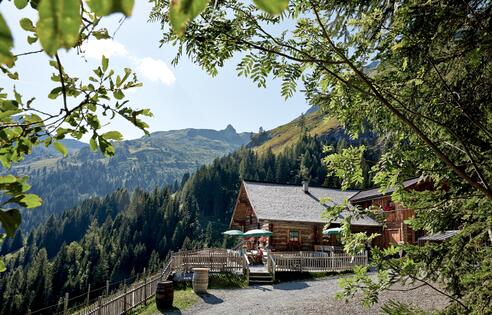 Mooslehenalm im Sommer | © Michael Huber I www.huber-fotografie.at