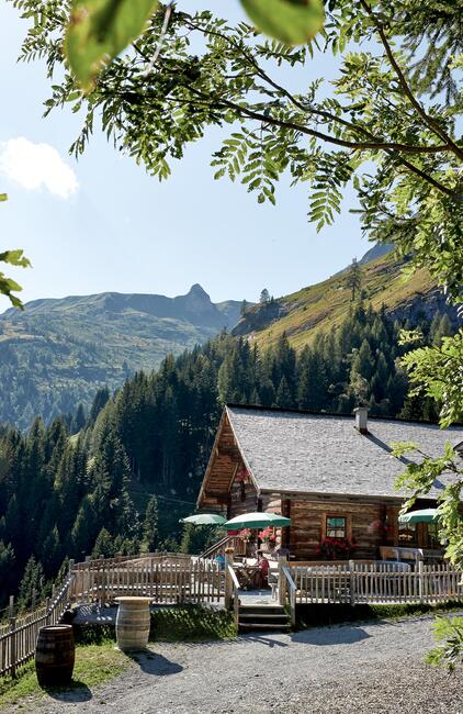 Gemütliche Alm im Großarltal, umgeben von Bergen und Wäldern, ein perfekter Ausgangspunkt für Wandern im Großarltalr | © Michael Huber I www.huber-fotografie.at