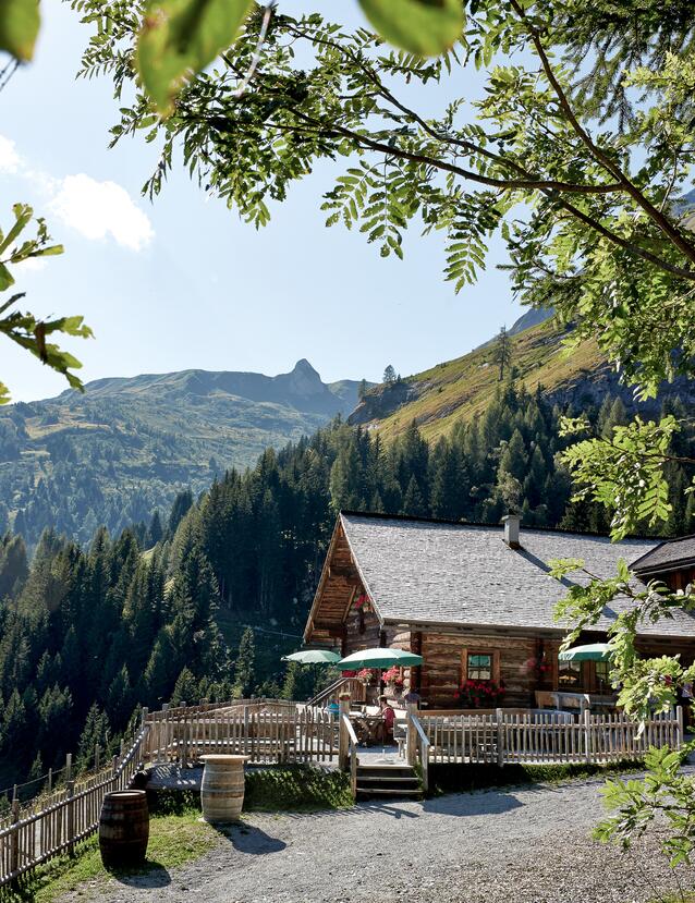 Mooslehenalm in Sommer | © Michael Huber I www.huber-fotografie.at