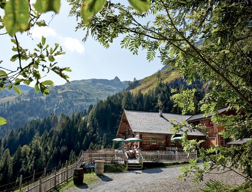 Mooslehenalm im Sommer | © Michael Huber I www.huber-fotografie.at