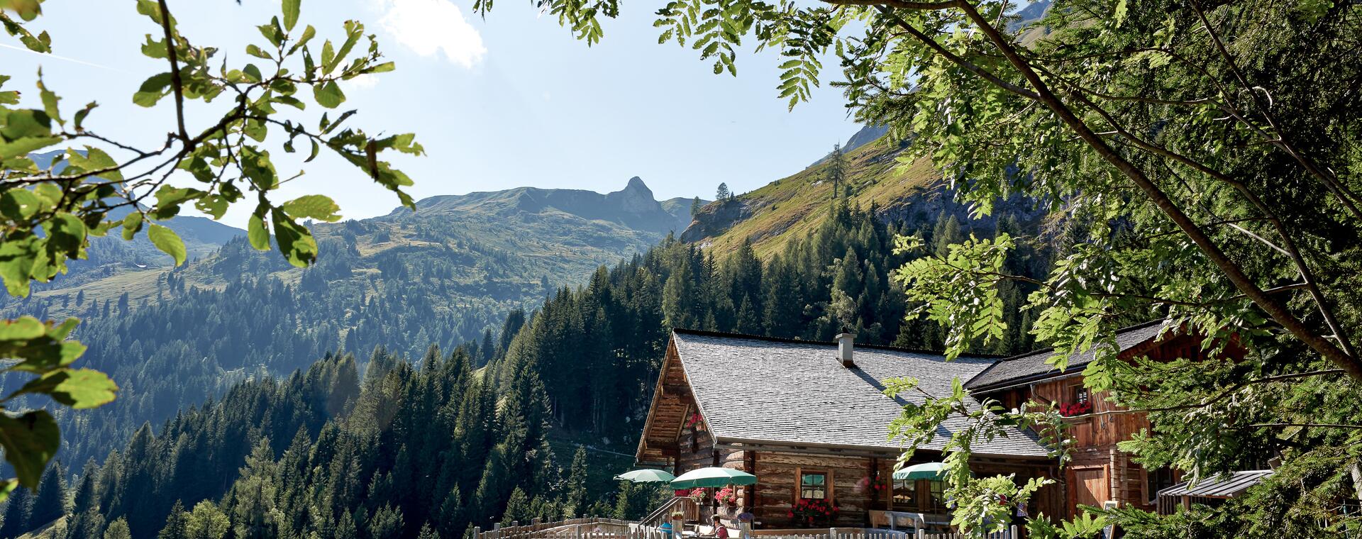 Mooslehenalm in Sommer | © Michael Huber I www.huber-fotografie.at