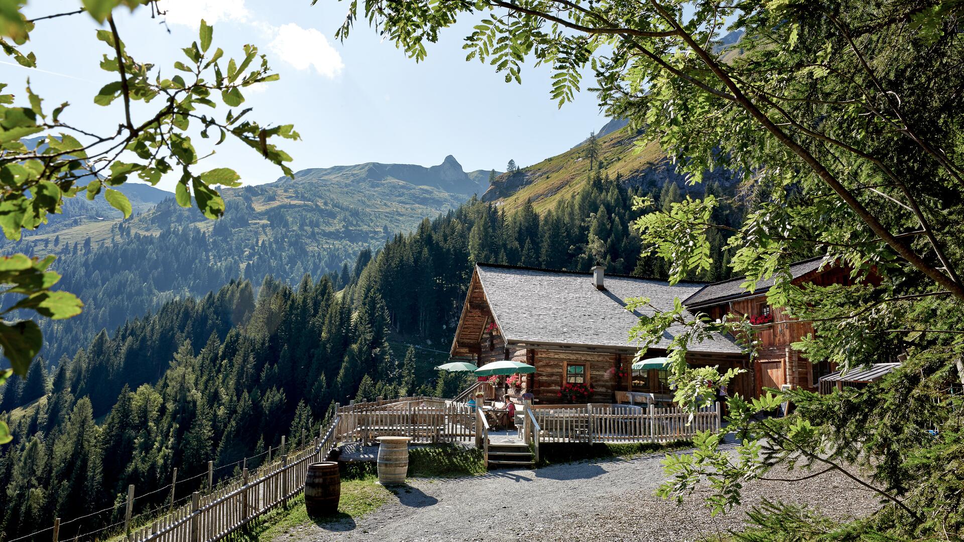 Gemütliche Alm im Großarltal, umgeben von Bergen und Wäldern, ein perfekter Ausgangspunkt für Wandern im Großarltalr | © michael Huber | www.huber-fotografie.at