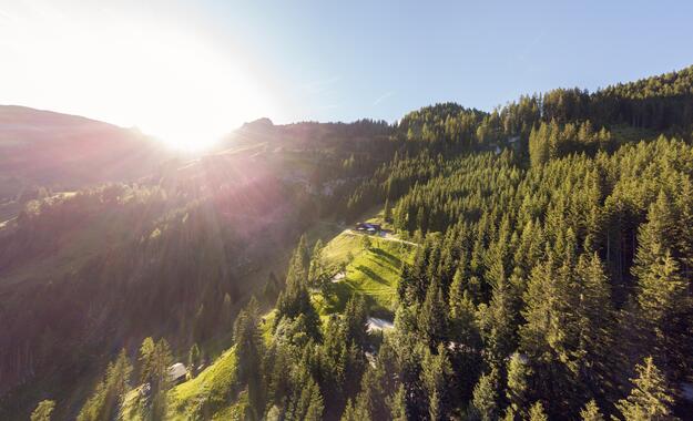 Sonnenaufgang über der Berglandschaft nahe dem Boutique Hotel Salzburg, umgeben von dichten Wäldern und grünen Wiesen