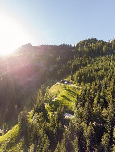 Sonnenaufgang über der Berglandschaft nahe dem Boutique Hotel Salzburg, umgeben von dichten Wäldern und grünen Wiesen