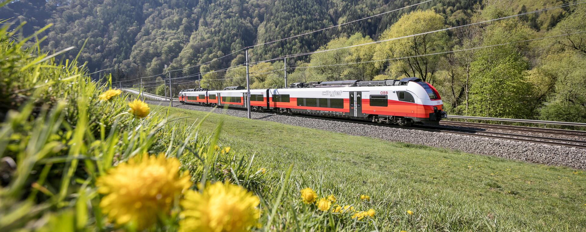 © © Harald Eisenberger