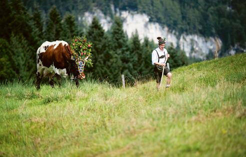 © SalzburgerLand Tourismus