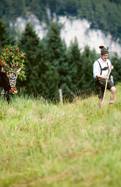 © SalzburgerLand Tourismus