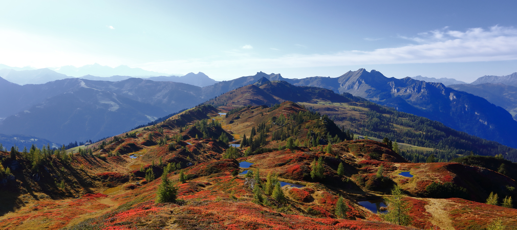 Herbstliche Berglandschaft im Großarltal mit farbenprächtiger Almvegetation und Bergpanorama