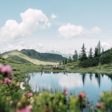 Sommerliche Landschaft im Salzburger Land mit blühenden Blumen und Bergen. | © SalzburgerLand Tourismus