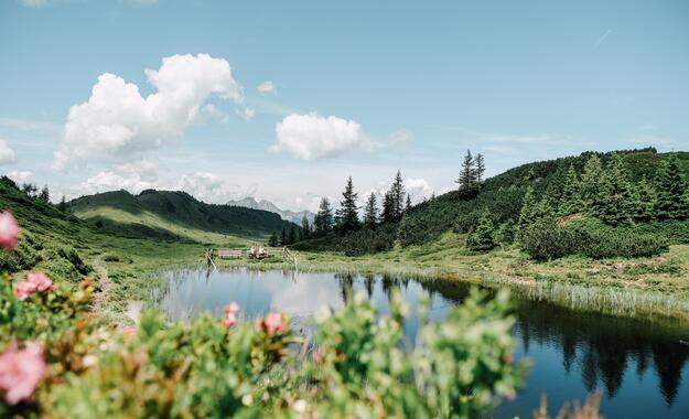 © SalzburgerLand Tourismus