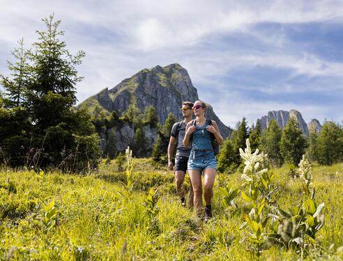 Zwei Personen wandern in den Bergen des Salzburger Landes, umgeben von schöner Natur und frischer Luft.