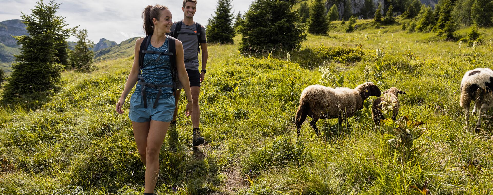 © www.fabianfranzferdinand.com