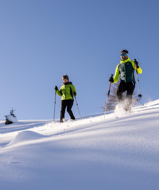Aktiver Winterurlaub im Naturhotel Salzburger Land mit Skifahren und Wandern in der Natur.