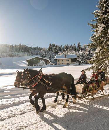 Pferdeschlittenfahrt im Salzburger Land im Winter