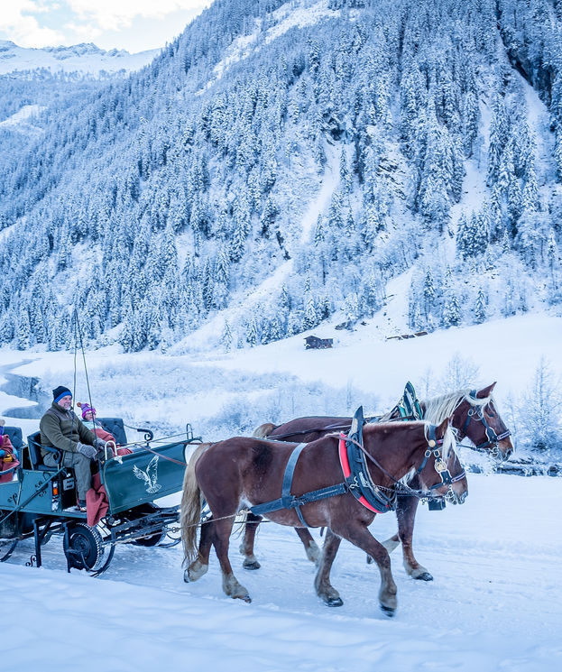 Horse-drawn sleigh ride through the snowy winter landscape of the Grossarl Valley